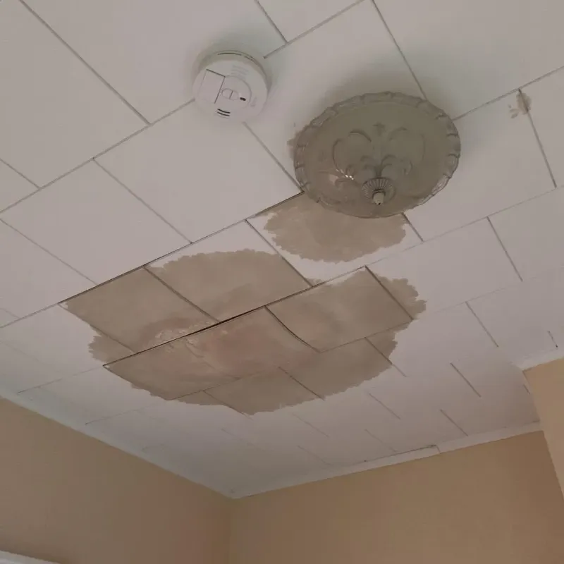Ceiling Water Damage Repair in Mahnomen County, MN