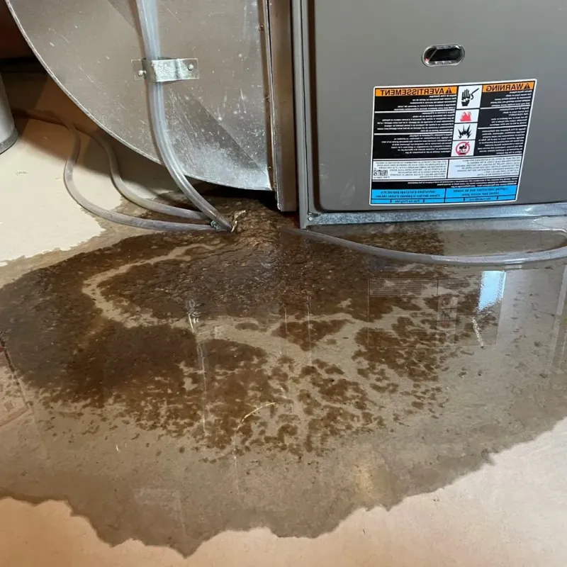 Pipe Burst and Leak Restoration in Mahnomen County, MN